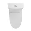 1.1/1.6 GPF Elongated Comfort Height Floor Mounted One-Piece Toilet, CUPC Certified, WaterSense Cetified, Ceramic, White Color, Soft Close Seat T039WT